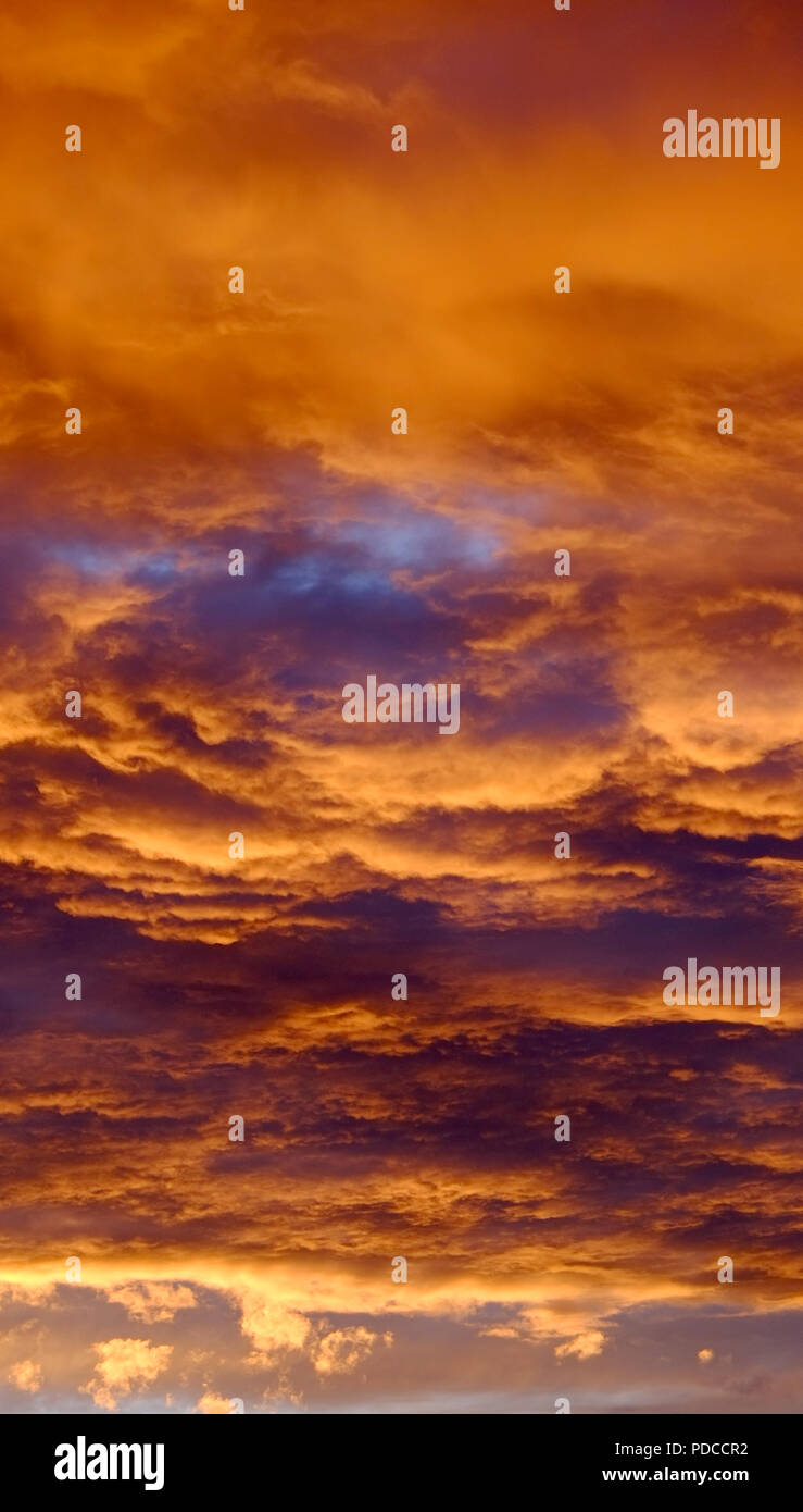 Stroud Gloucestershire UK 8th August 2018.  Weather UK.  Skies over Stroud Gloucestershire as the sunsets.  The Southwest of the UK was treated to an amazing display as the clouds caught the last rays of sunlight. Credit: Gavin Crilly/Alamy Live News Stock Photo