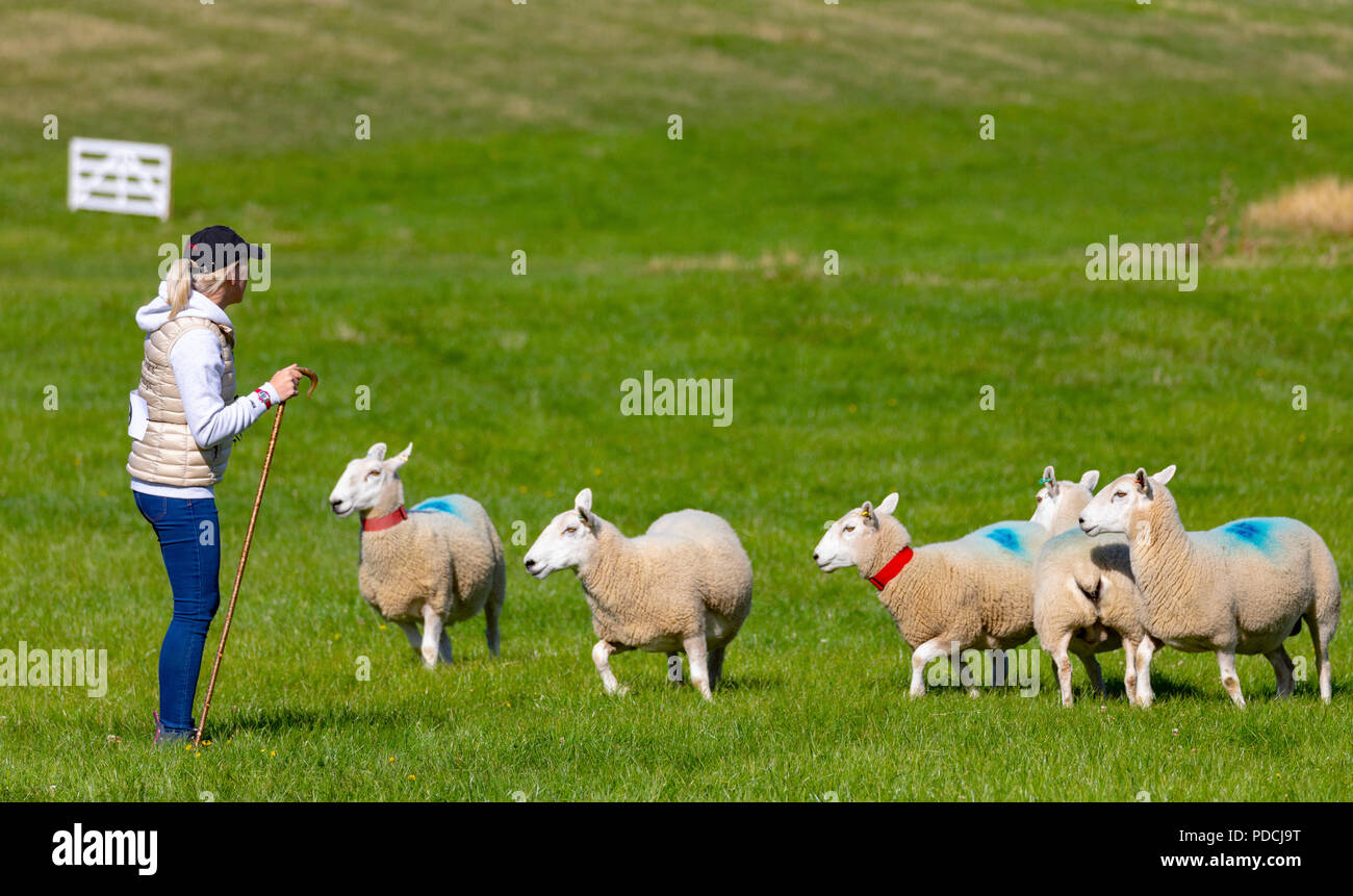 Penbedw estate hires stock photography and images Alamy