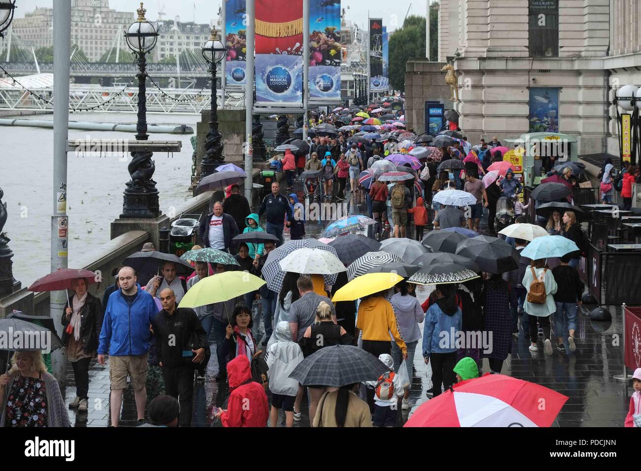 London 9th August 2018:  Crowds of tourists on Westminster pier shelter from the rain under umbrellas. Credit: Claire Doherty/Alamy Live News Stock Photo