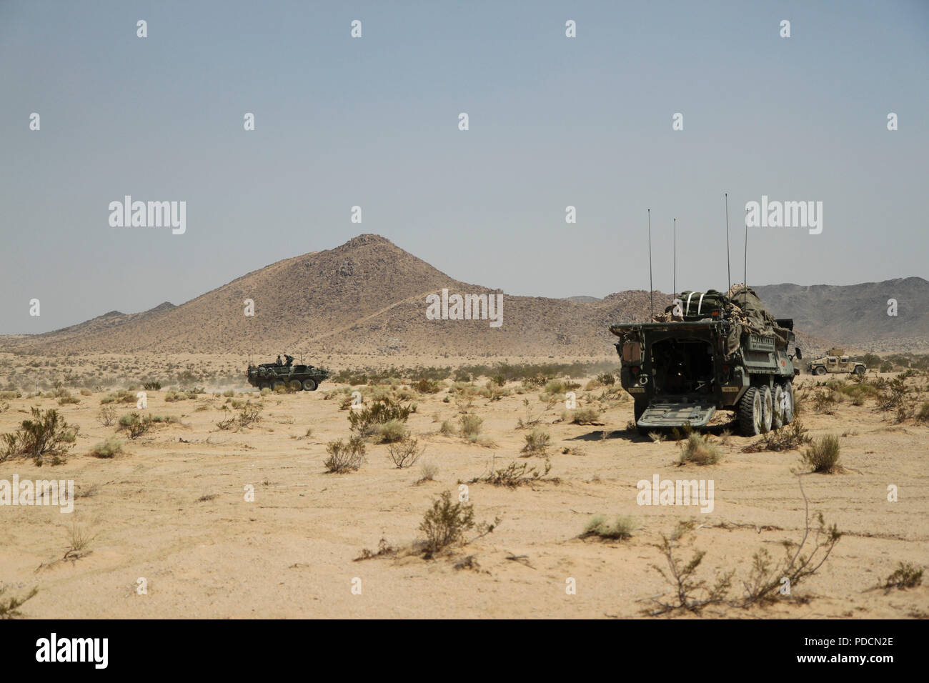 Soldiers of the 56th Stryker Brigade Combat Team, 28th Infantry Division, Pennsylvania Army National Guard, set up temporary positions Aug. 5 in their Strykers at the National Training Center, Fort Irwin, Ca. (US Army National Guard photo by Spc. Jake Hoffman) Stock Photo