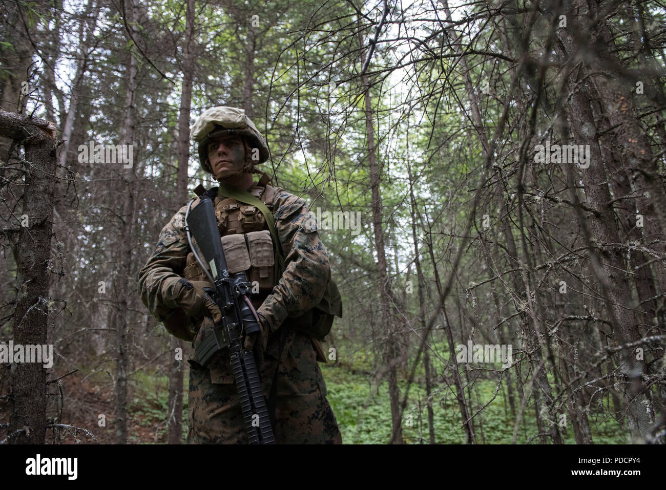 U.S. Marine Corps Lance Cpl. Cole Cunningham, a mortarman with 3rd Battalion, 23rd Marine Regiment, conducting a patrol while competing in the 4th Marine Division Super Squad Competition at Joint Base Elmendorf-Richardson, Alaska, Aug. 4, 2018. During the competition, squads from 1st and 3rd Battalions, 23rd Marine Regiment and 1st Battalion, 24th Marine Regiment, exercised their technical and tactical proficiencies by competing in events that highlighted offensive/defensive operations, patrolling techniques, combat marksmanship, physical endurance and small unit leadership. Cunningham is a na Stock Photo