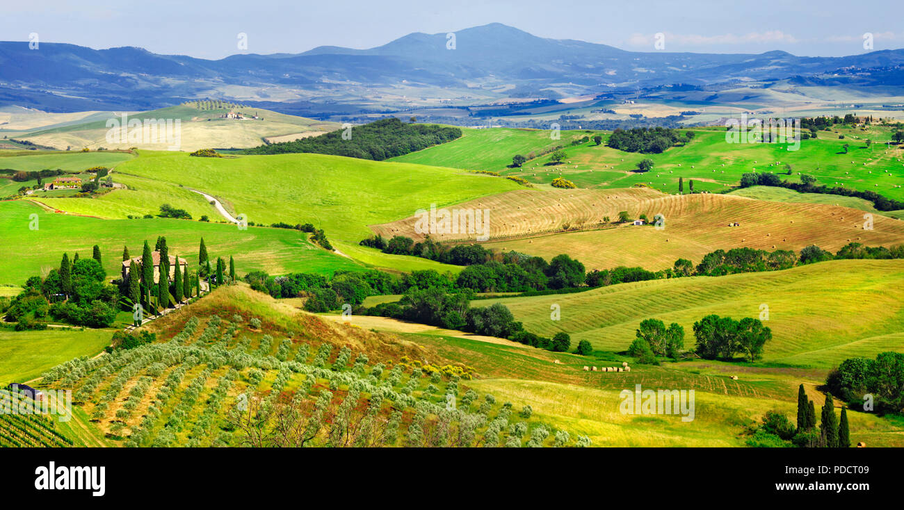 Incredible nature in Pienza,panoramic view,Tuscany,Italy. Stock Photo