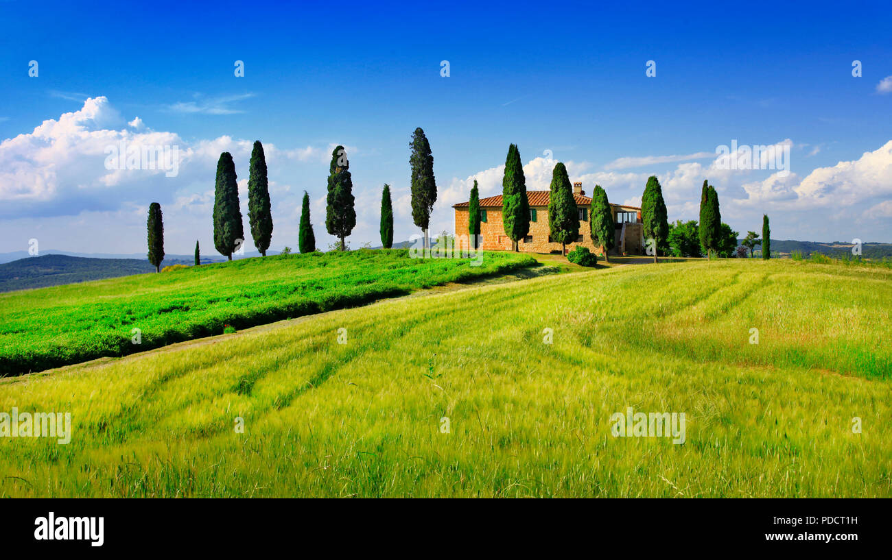 Autumn landscape of Tuscany,view with farm and cypresses,Pienza,Italy. Stock Photo