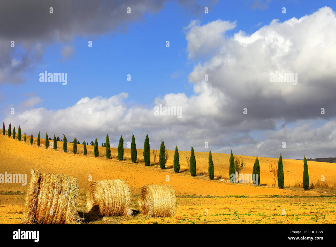 Impressive autumn landscape,view with cypresses and rolls,Pienza,Tuscany,Italy. Stock Photo