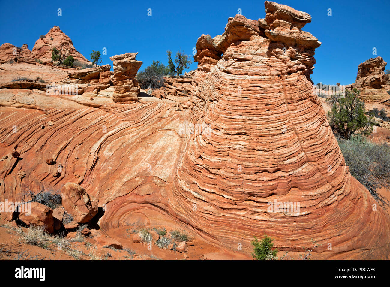 AZ00226-00...ARIZONA - Exposed layers on a sandstone hillside and old, eroded buttes with unusual shapes along the ridgecrest  in the Cottonwood Cover Stock Photo