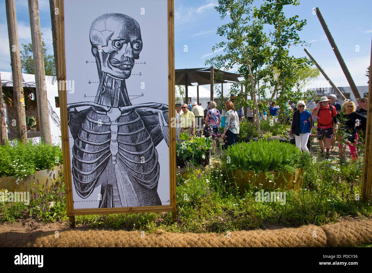 The Poisonous Garden at RHS Tatton Park flower show Cheshire England UK Stock Photo