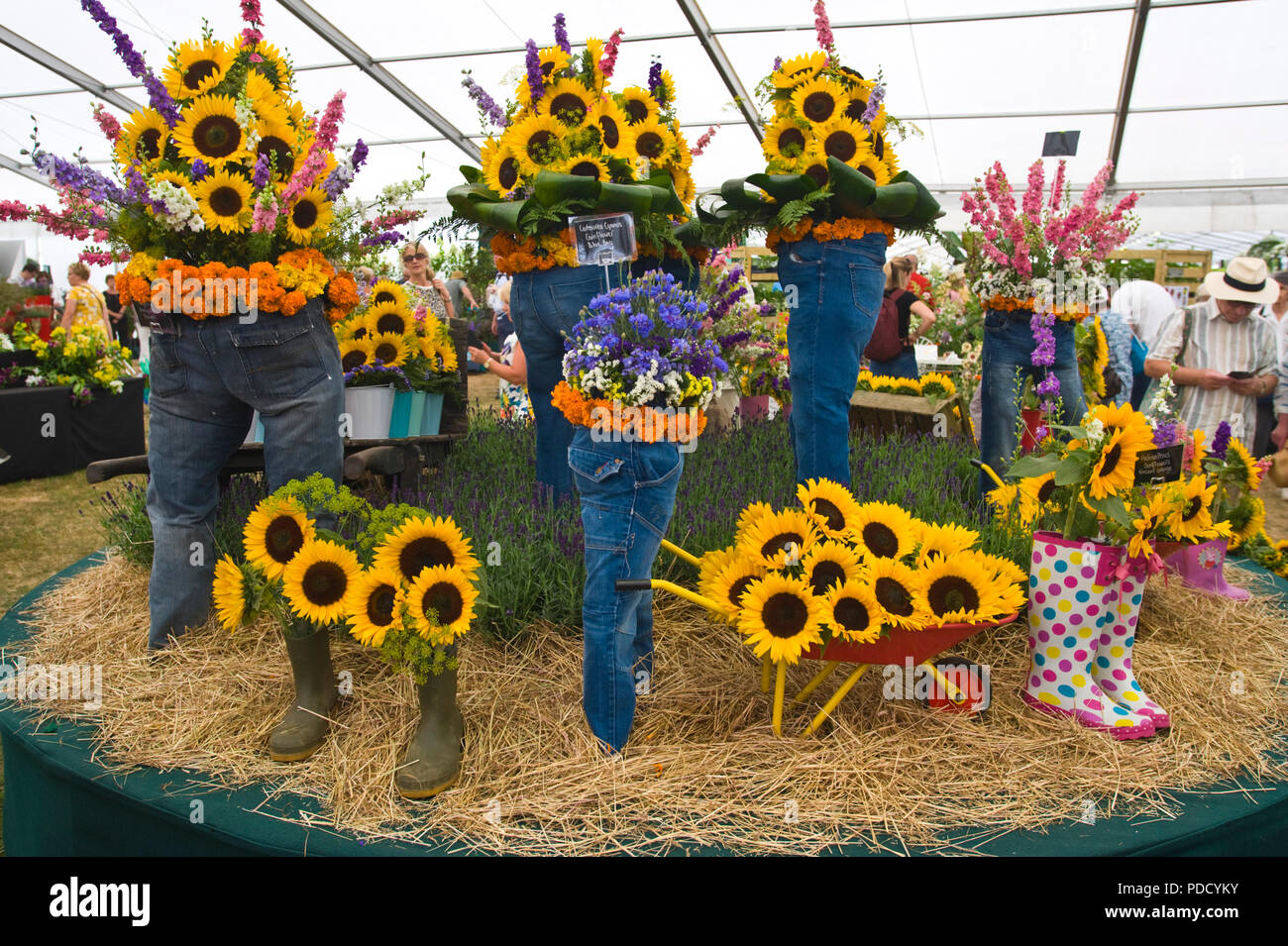 Display of sunflowers in unusual growing containers at RHS Tatton Park flower show Cheshire England UK Stock Photo