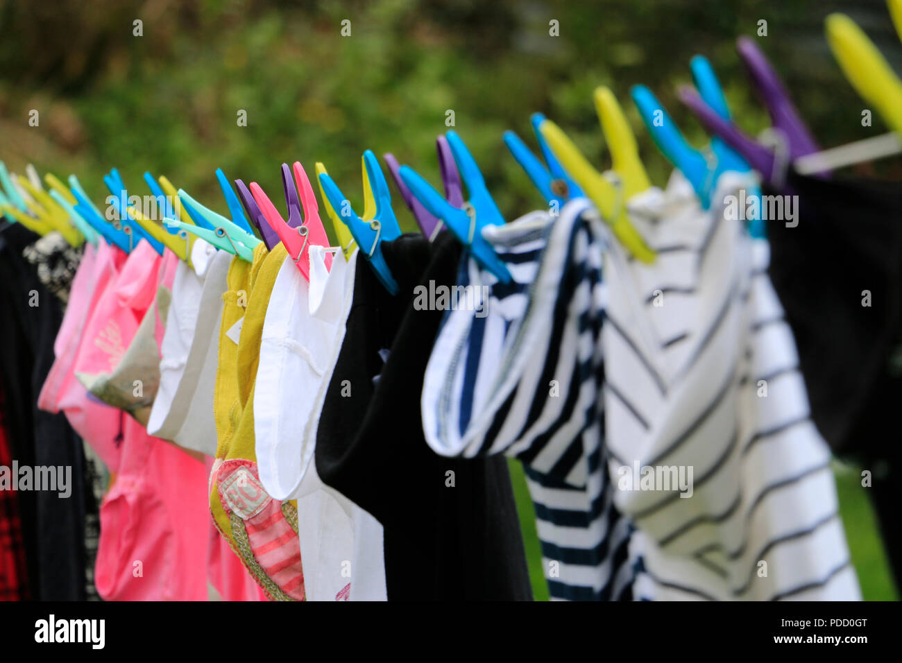 Clothes drying, laundry on washing line with multicoloured clothes pegs ...