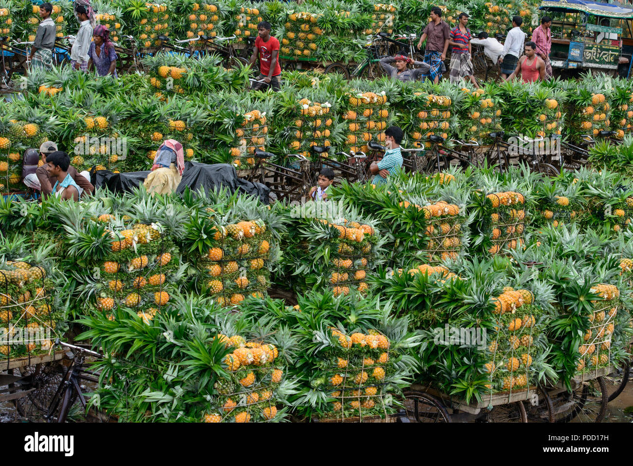 pineapple Stock Photo