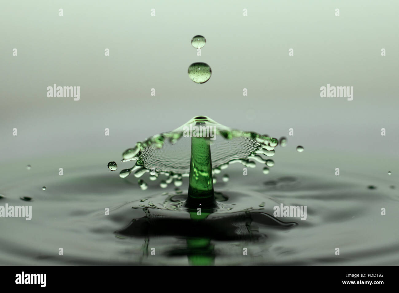 Water drop macro photography Stock Photo Alamy