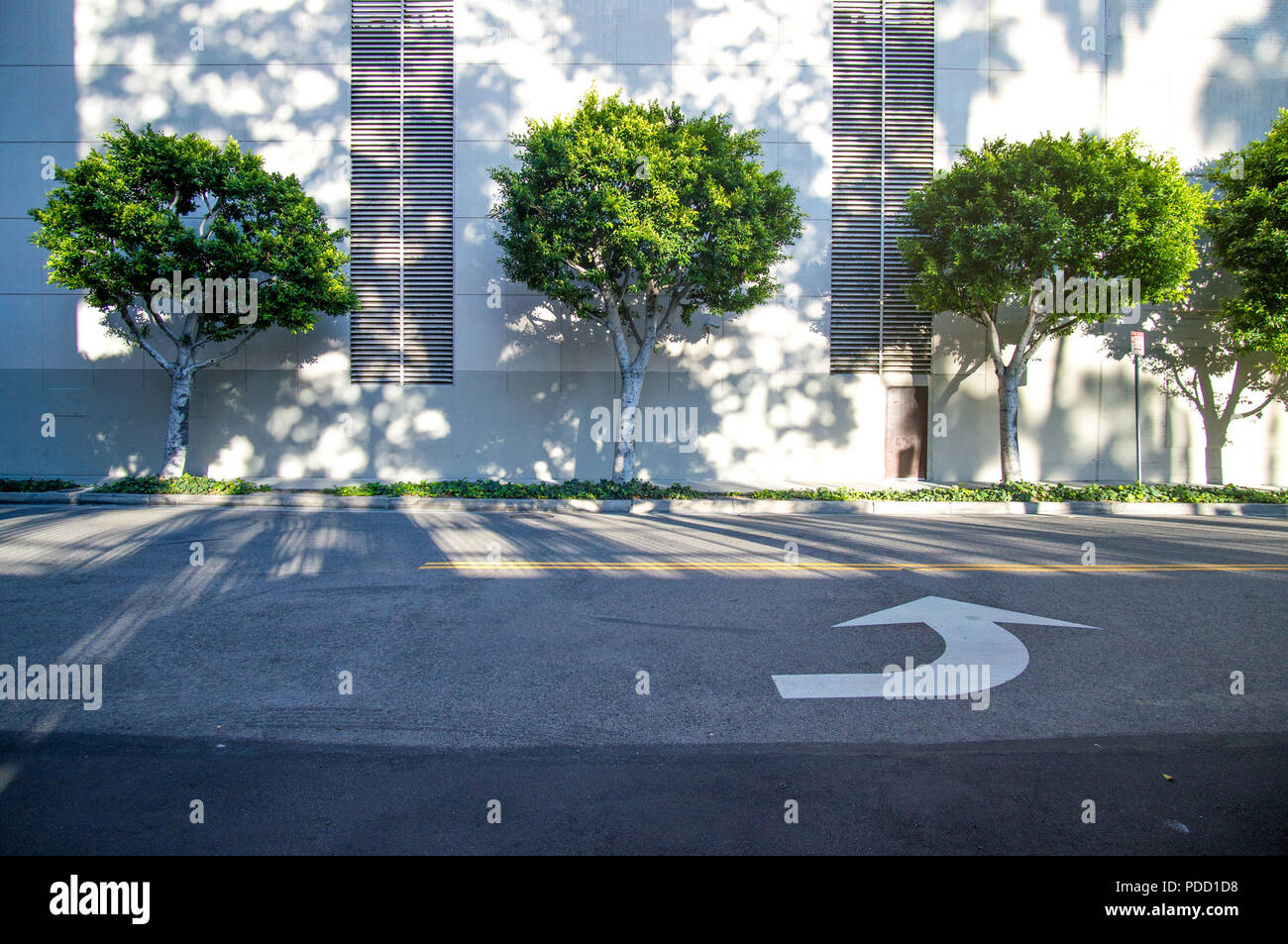 Street of Los Angeles, tree trees Stock Photo Alamy