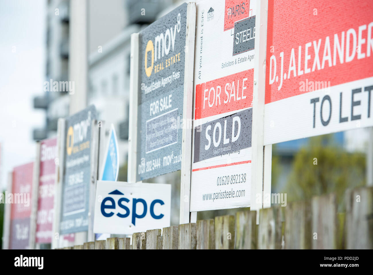 Pictured  Property, FOR SALE, Board, Estate Agents, To Let, Advertising, Edinburgh, Platinum Point Stock Photo