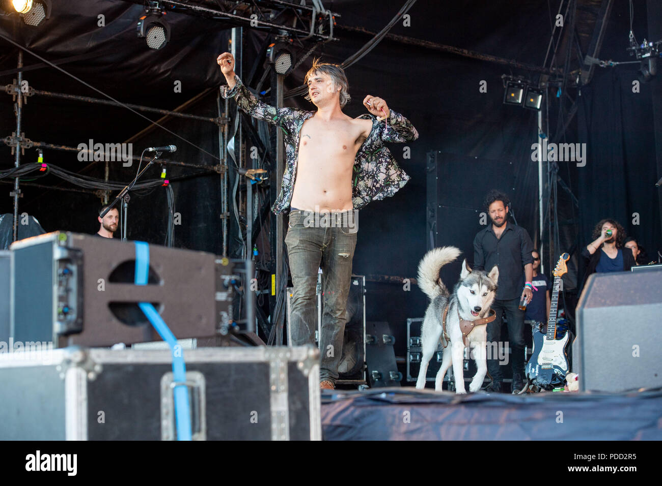 Sunday Sessions Scotland, Dalkeith country park   Pictured Pete Doherty Stock Photo