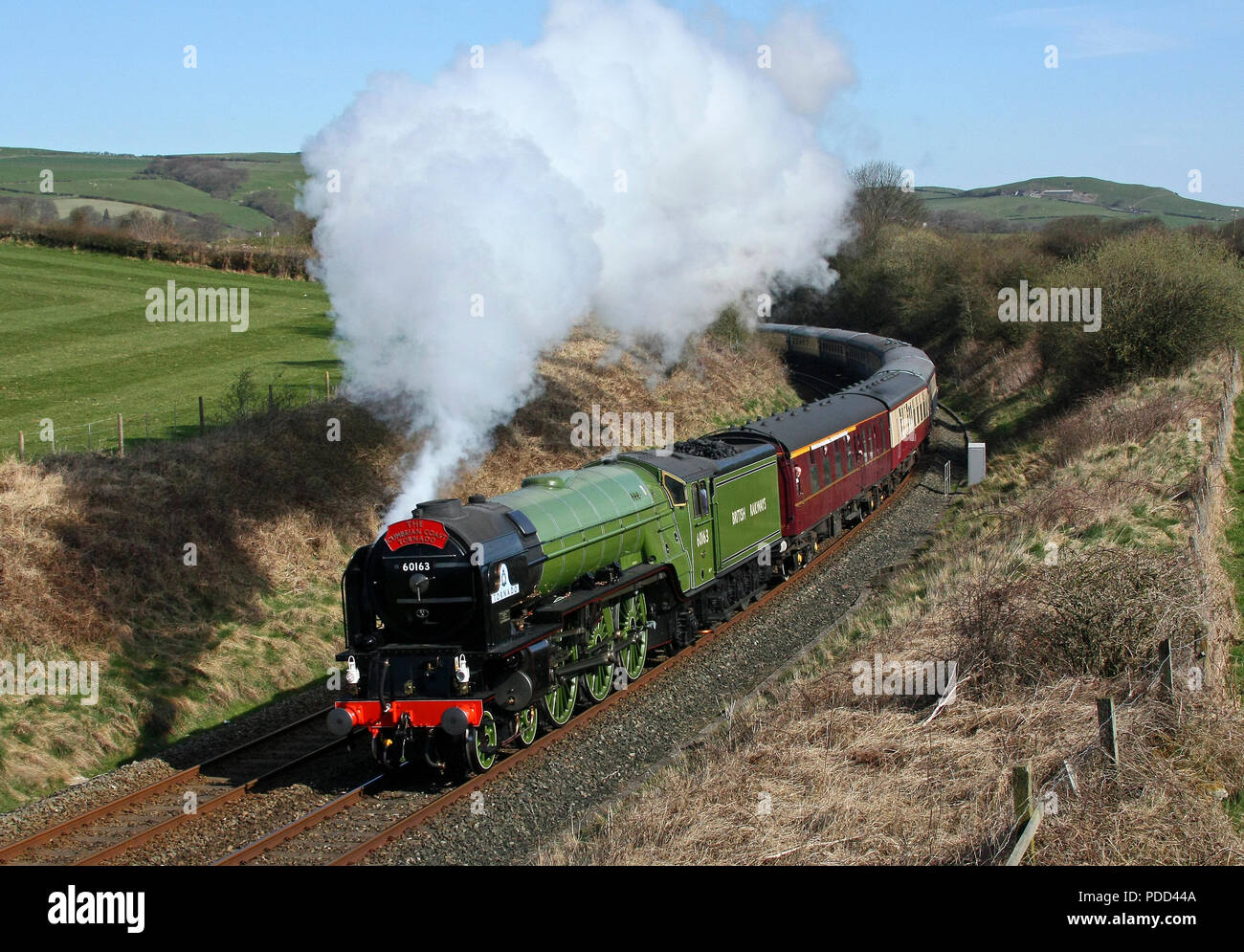 Tornado 60163 steam hires stock photography and images Alamy