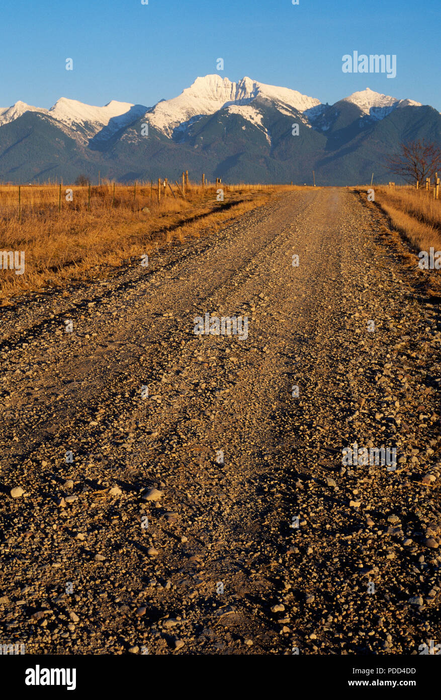 Country road, Montana, leading toward Mission Mountains Stock Photo