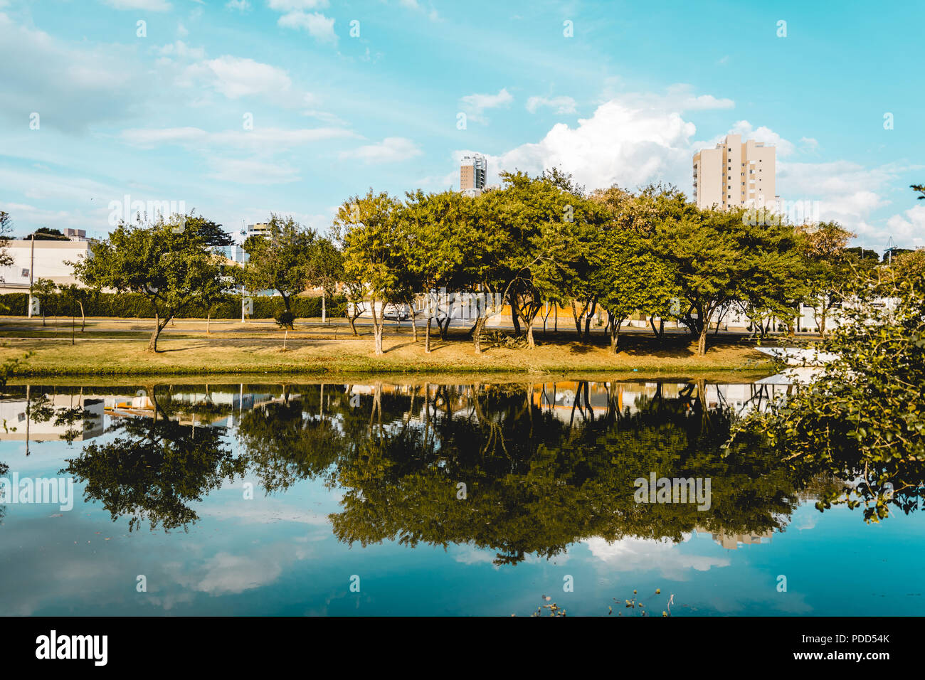 Indaiatuba, Brazil; 2018, july. The trees of a park reflected on the water of a rivel. Stock Photo