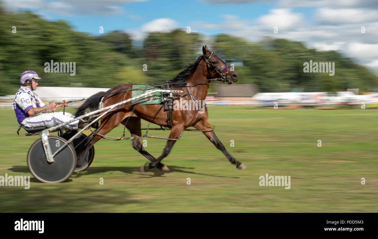 Sulky race hi-res stock photography and images - Alamy