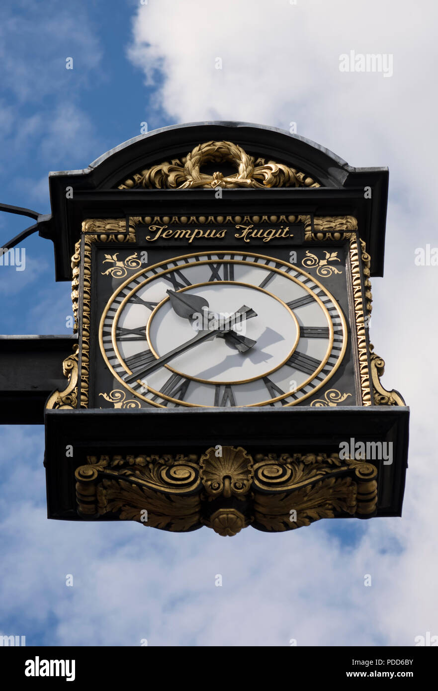 hanging clock outside the 1908 chelsea old town hall, chelsea, london, england, with latin inscription tempus fugit, or time flies Stock Photo