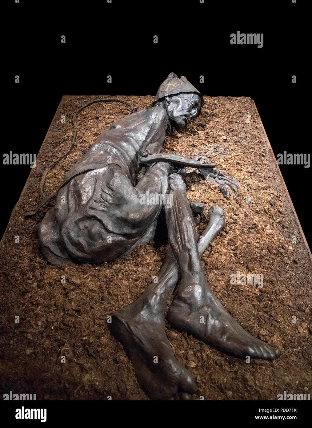 Tollund Man, Denmark. The mummified body of Tollund Man, a 4th century BC bog body displayed in Silkeborg Museum, Silkeborg, Jutland, Denmark Stock Photo