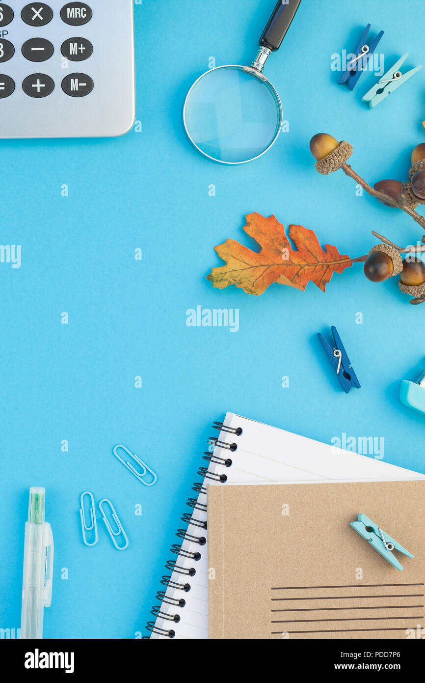 Creative flat lay top view back to school concept with color school and ...