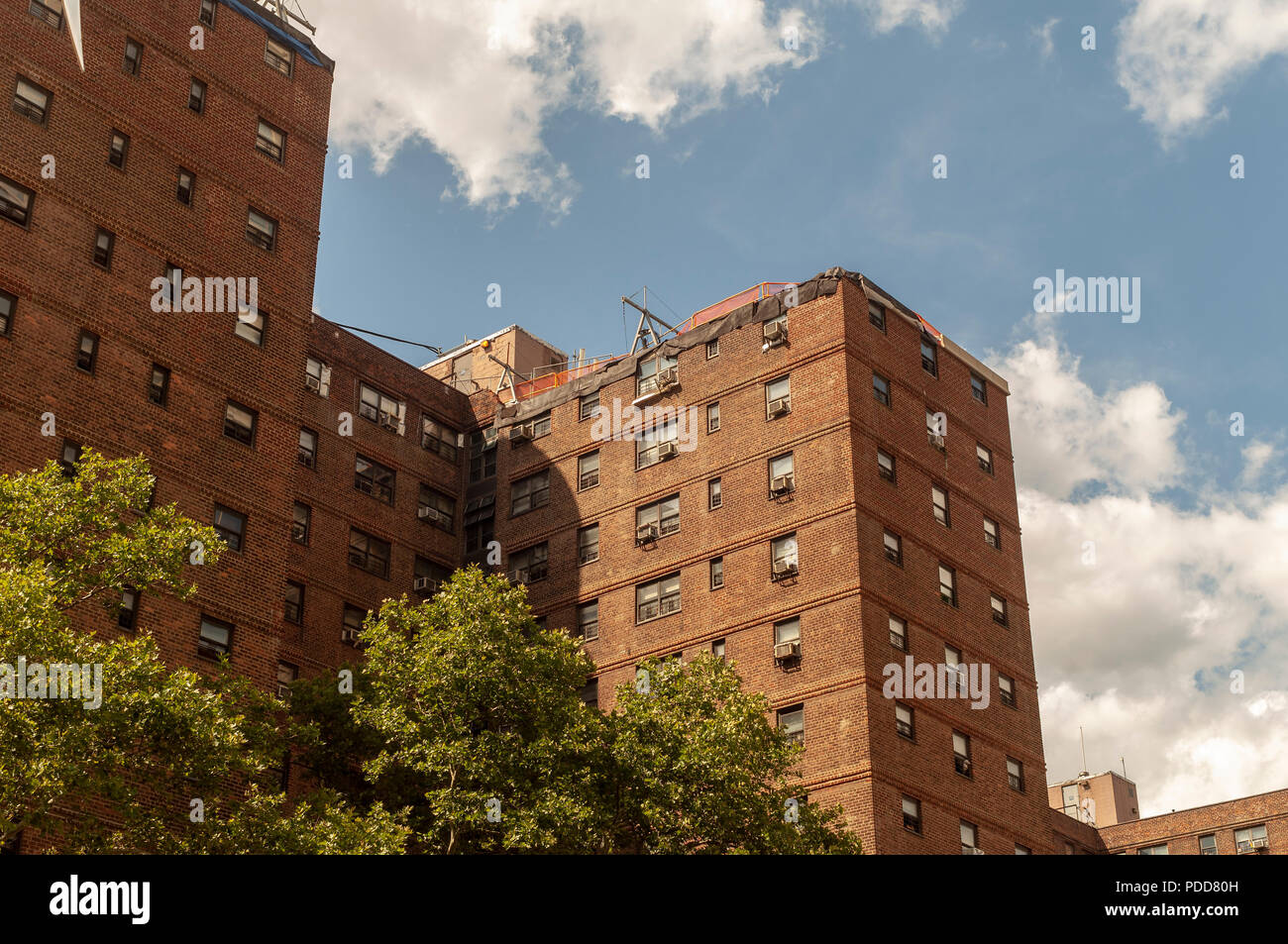 Nycha High Resolution Stock Photography and Images Alamy
