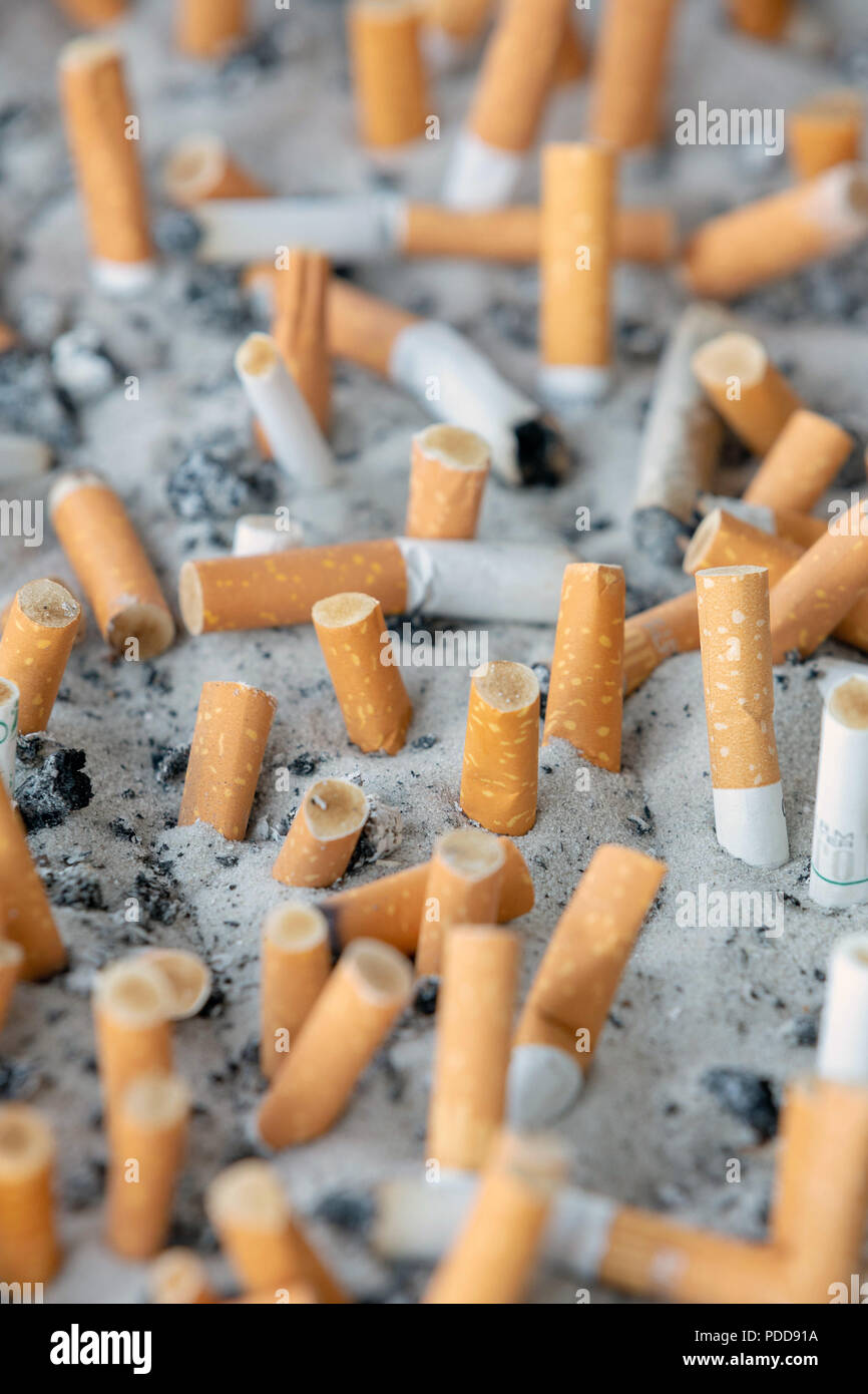 Sigaretbuds hires stock photography and images Alamy