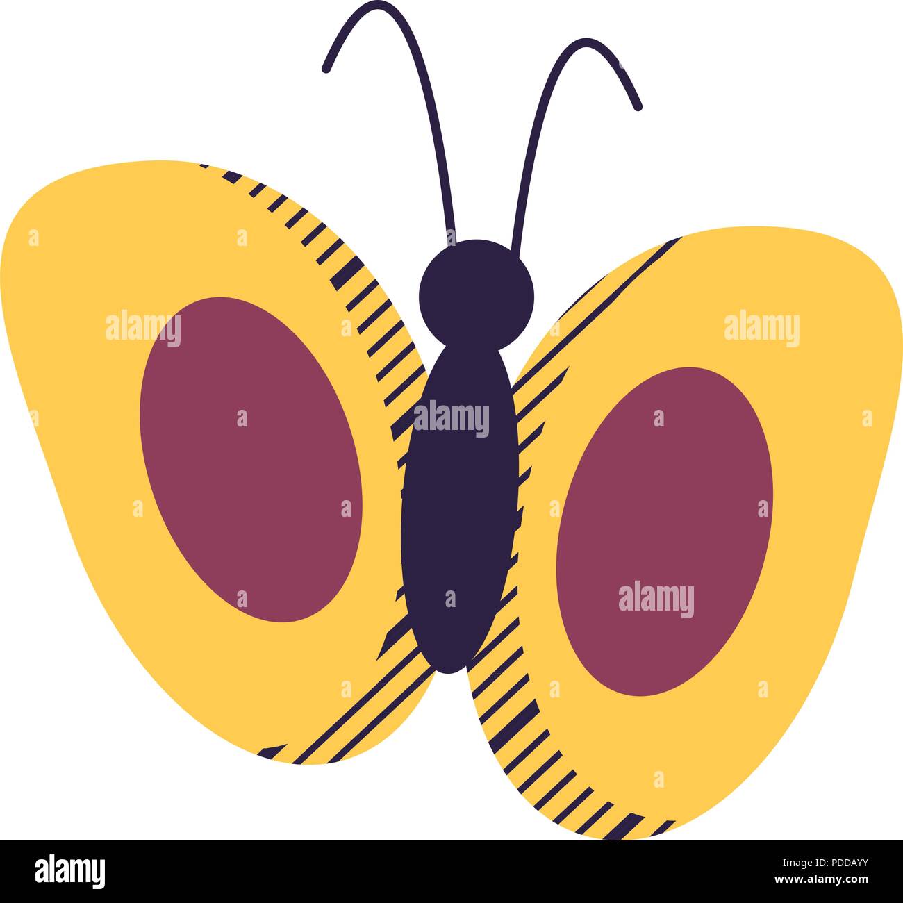 butterfly icon over white background, vector illustration Stock Vector ...
