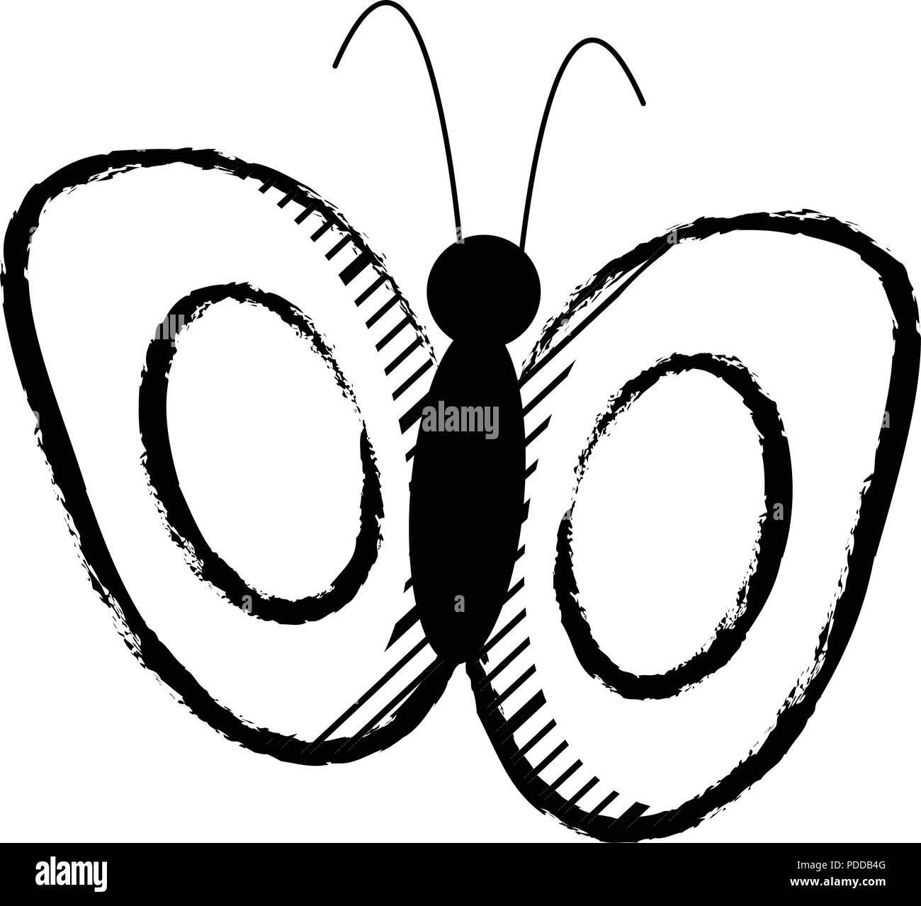 butterfly icon over white background, vector illustration Stock Vector ...