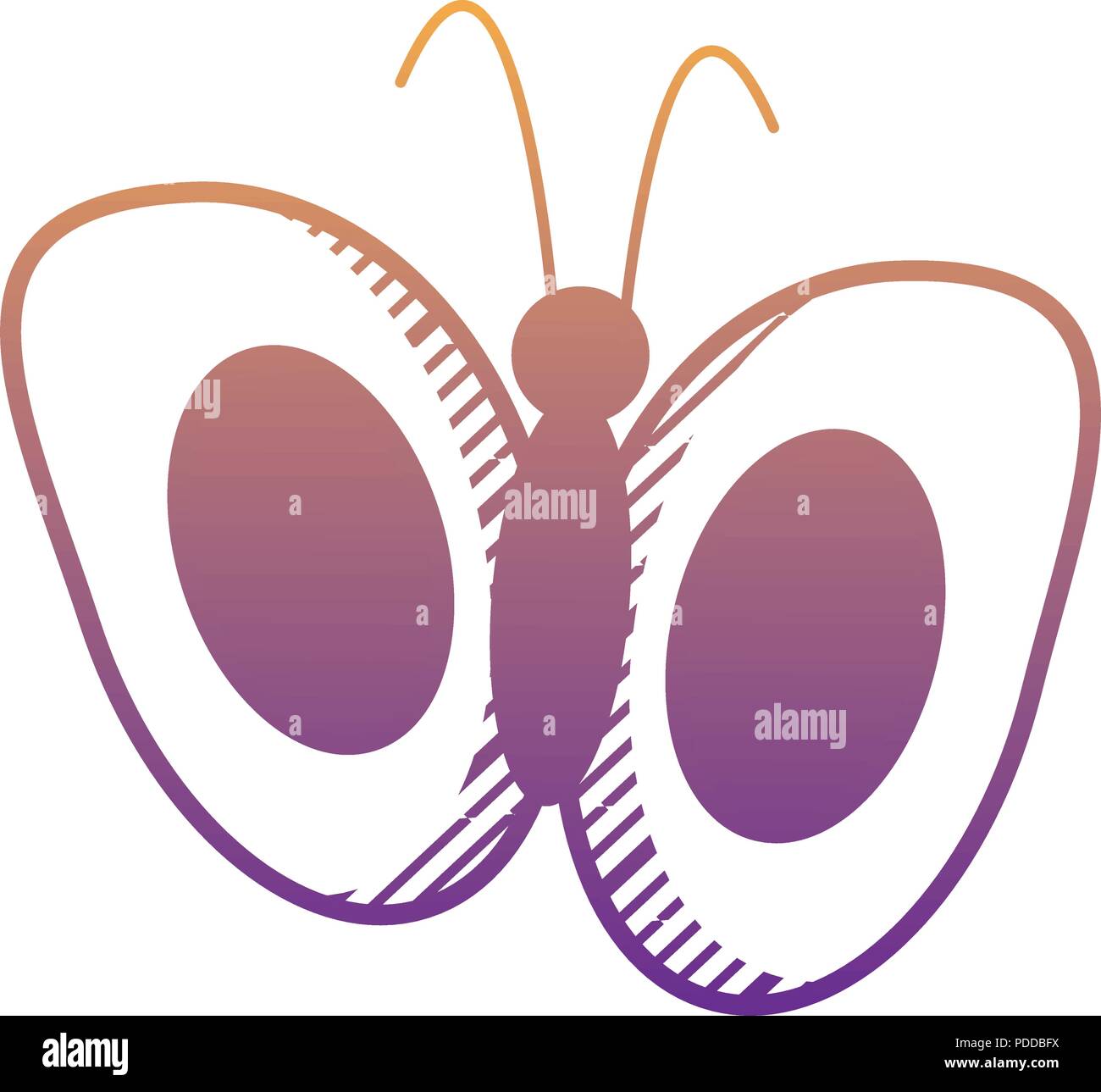 butterfly icon over white background, vector illustration Stock Vector ...