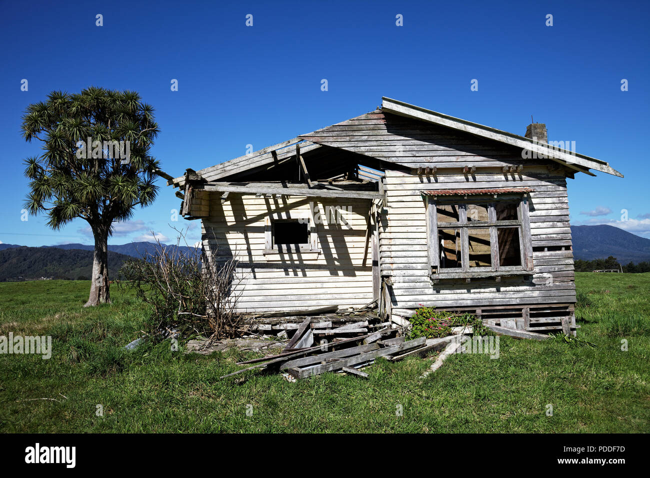 Derelict cottage ideal doer upper for the handyman, with a cabbage tree in the background Stock Photo