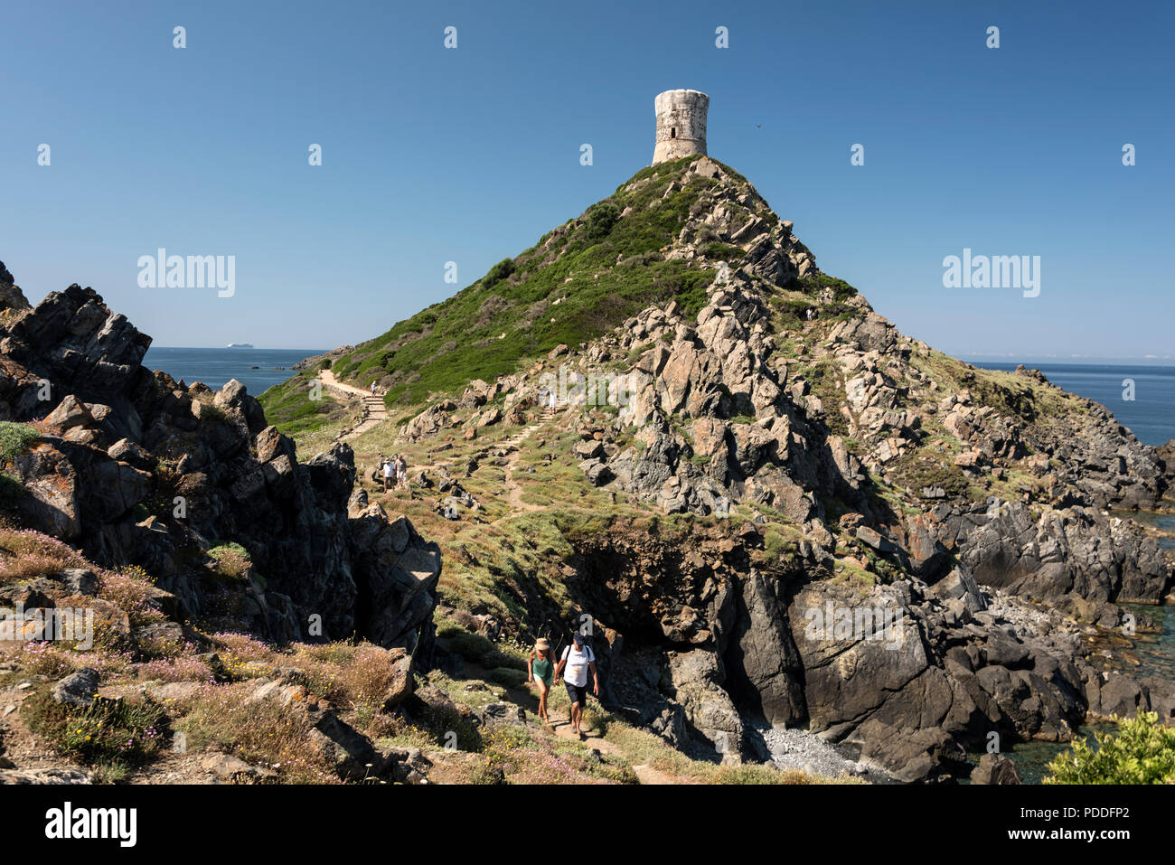 A popular venue for visitors visiting La Pointe de la Parata, ( Point of Parata ) with a Genoese defence watch tower built in the 15th-16th centuries, Stock Photo