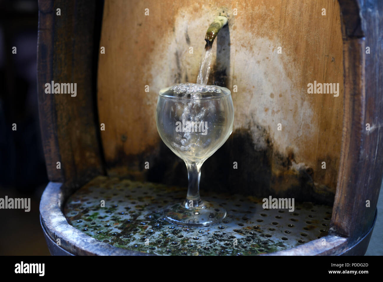 advertising glass;alimentari uffizi;florence;italy Stock Photo