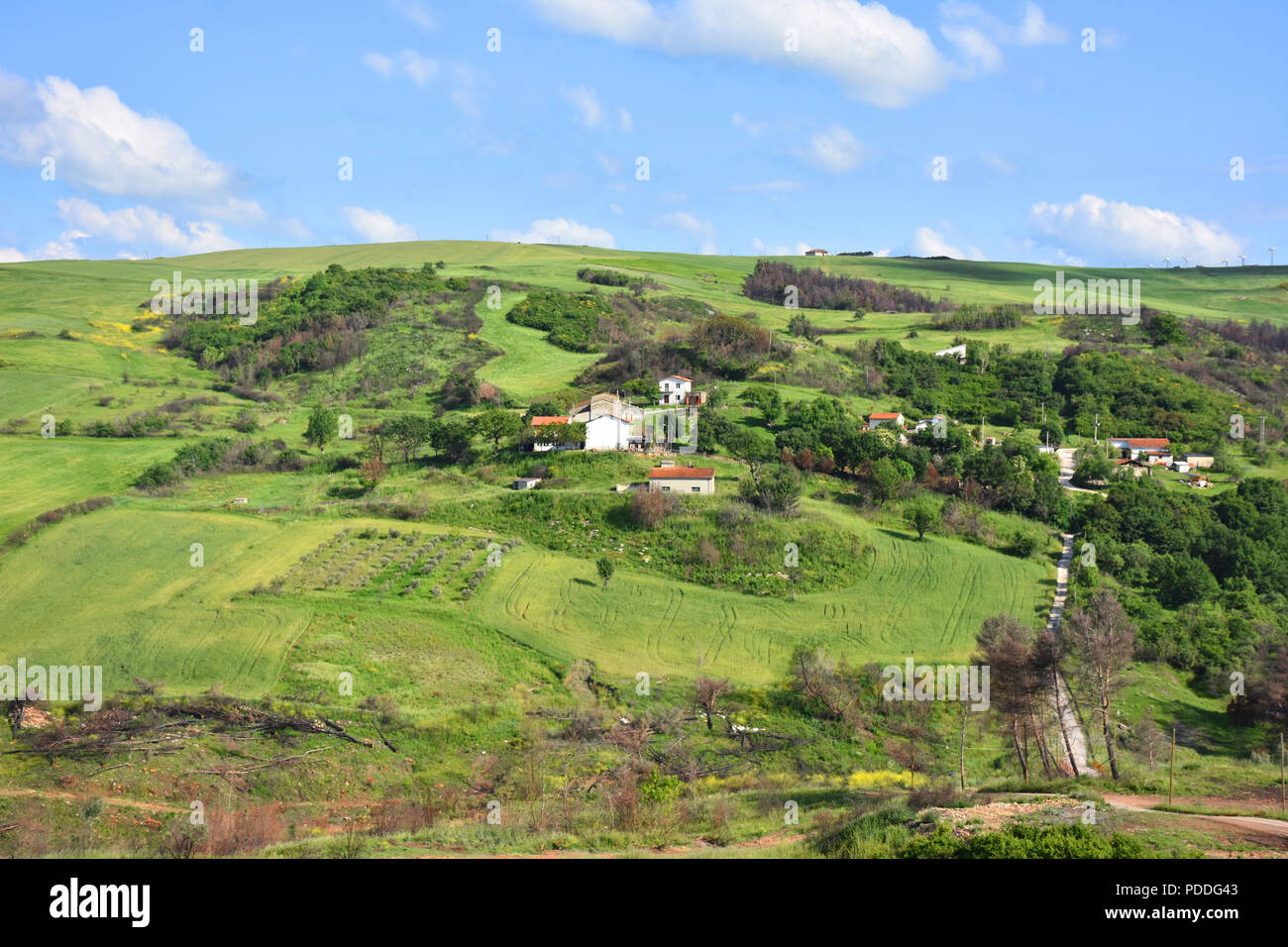 View beautiful typical green hilly hi-res stock photography and images ...