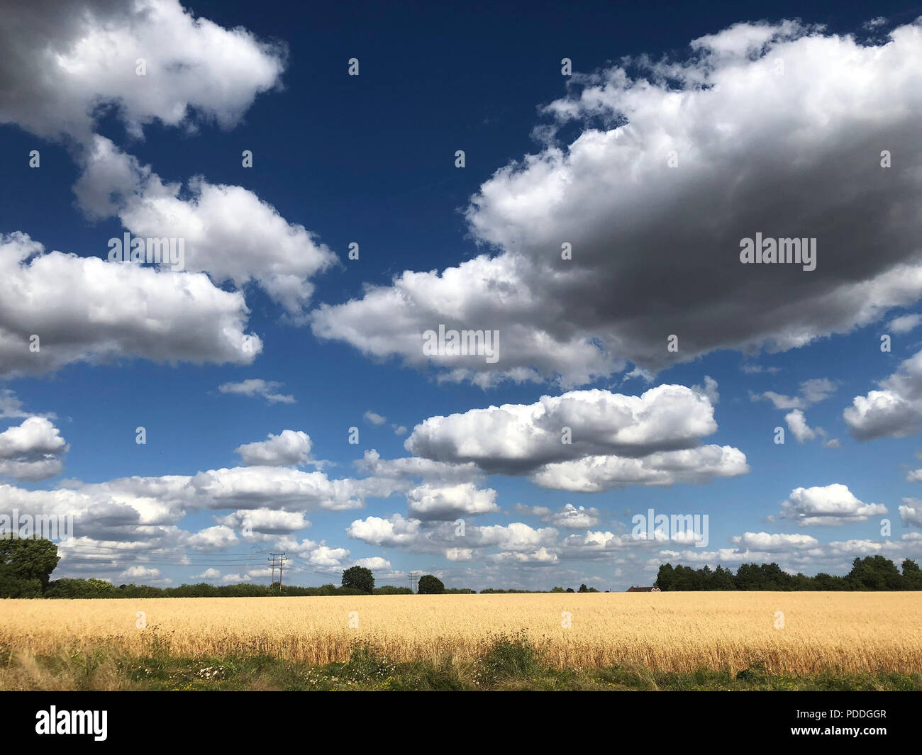 CUMULUS CLOUD over English field. Photo: Tony Gale Stock Photo - Alamy
