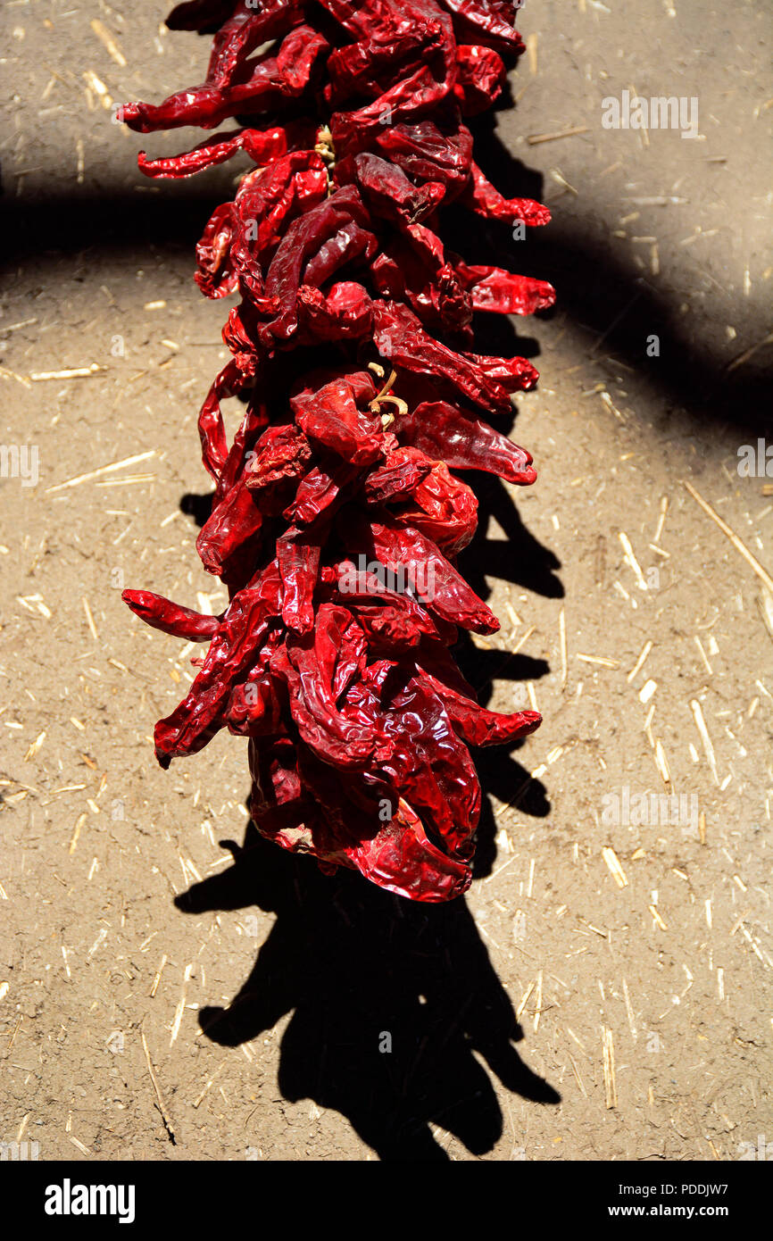 New Mexico Chili Peppers Stock Photos & New Mexico Chili Peppers Stock