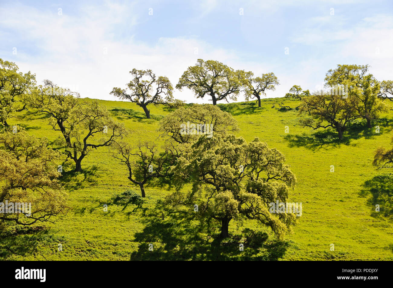 Land hillside hires stock photography and images Alamy