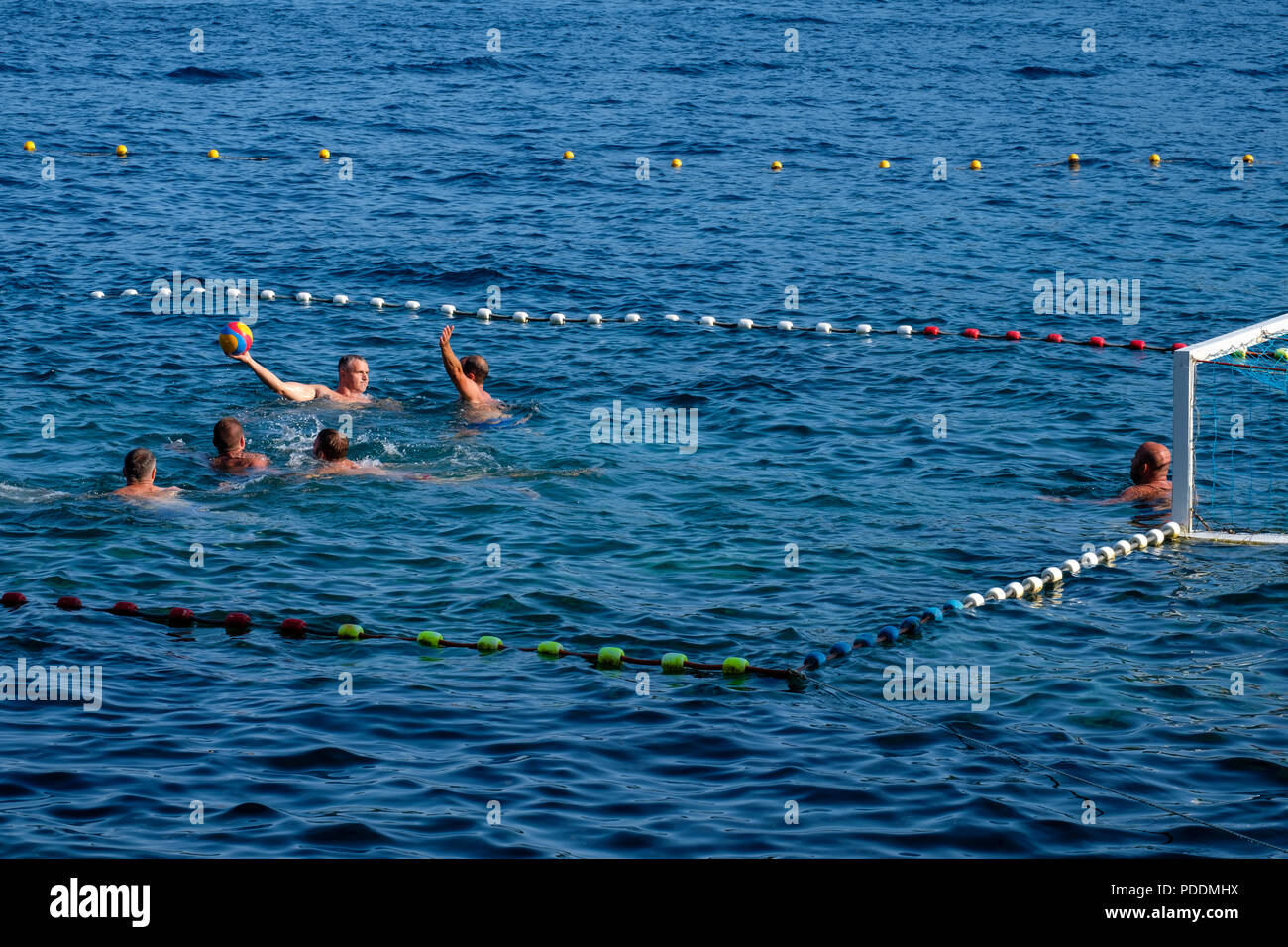 People playing water polo in the Adriatic Sea, Dubrovnik, Croatia, Europe Stock Photo