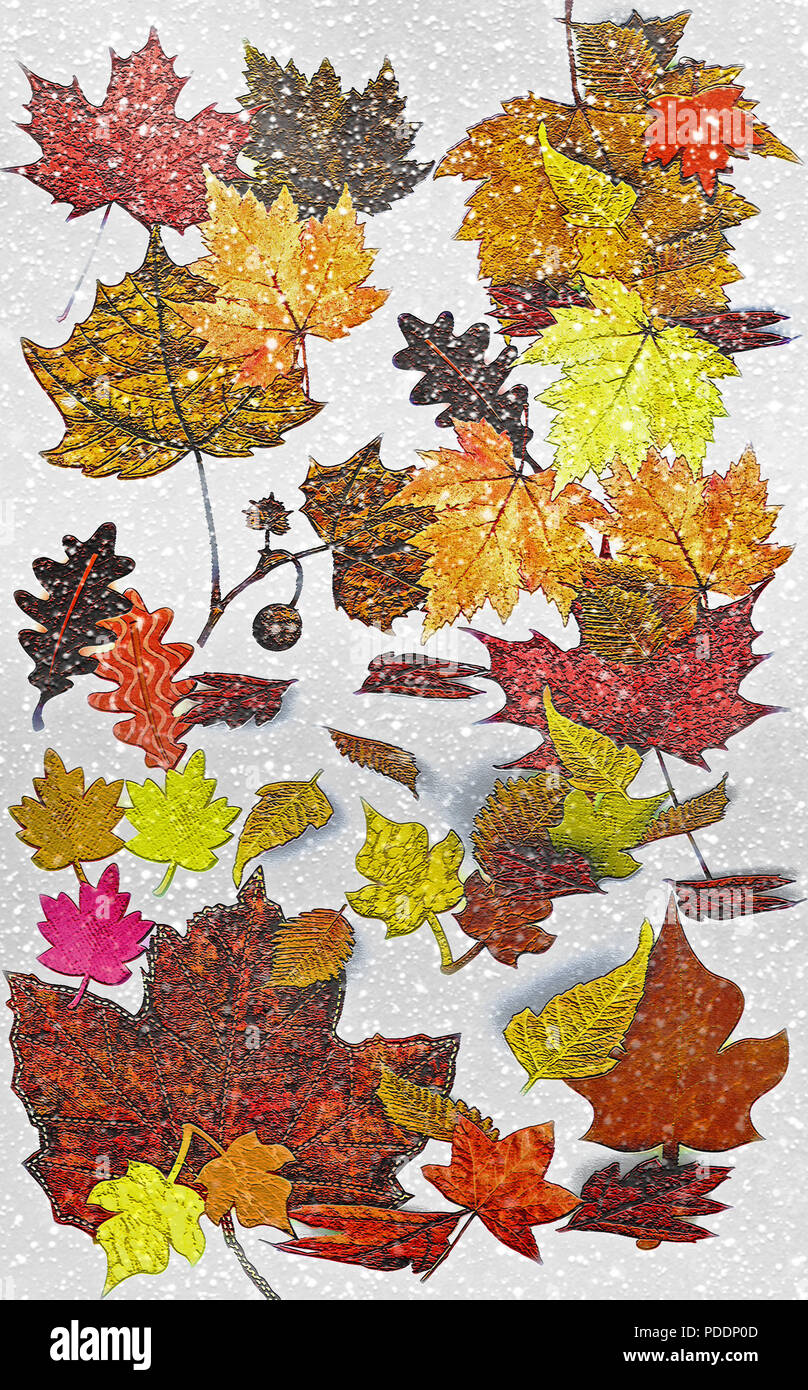 I must admit, I utilized some royalty-free clip art in this digital art piece depicting falling leaves amidst snowfall. Composition, coloring, texturi Stock Photo
