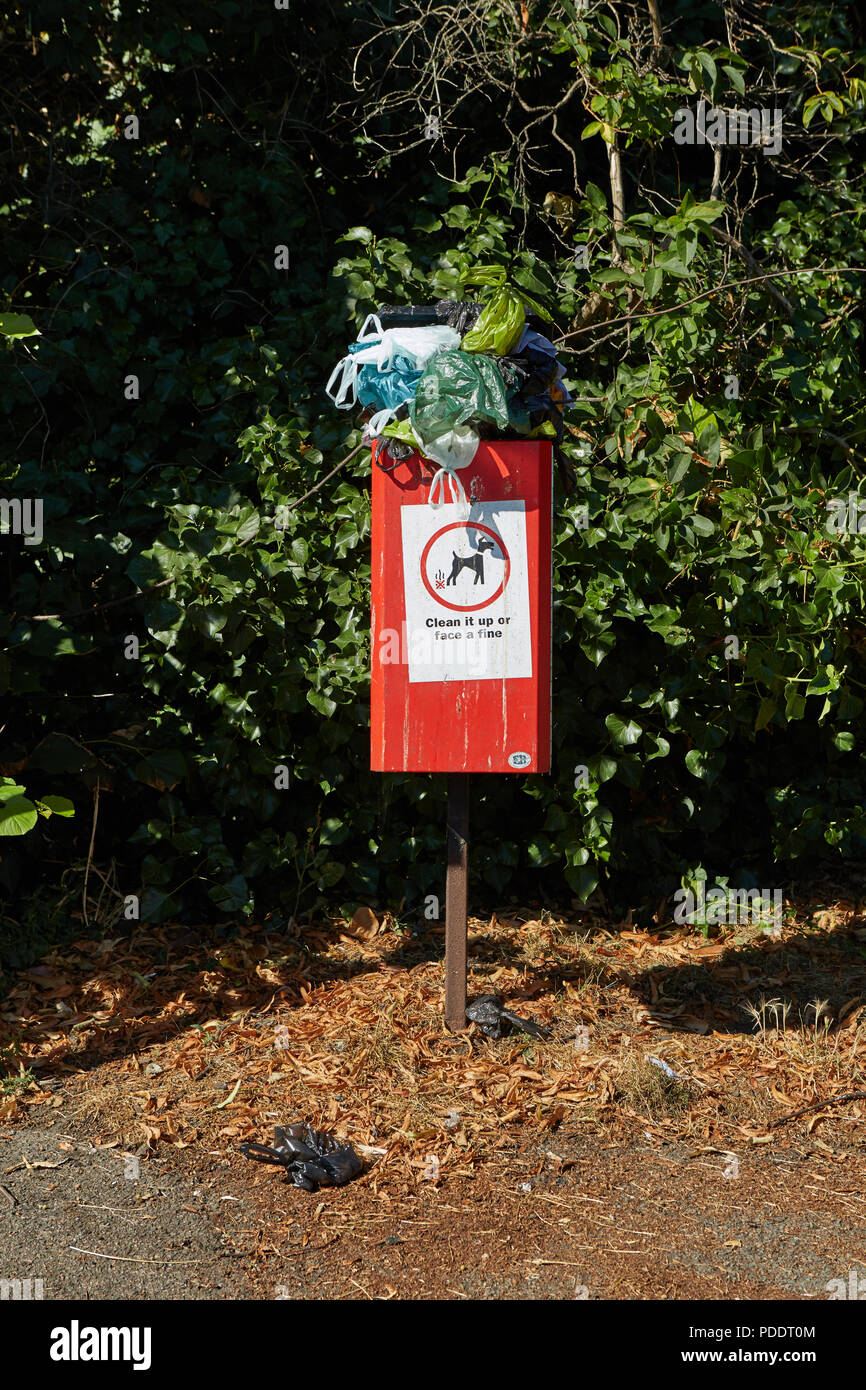 A dog poo bin overflowing with dog poo bags on one of the hottest days
