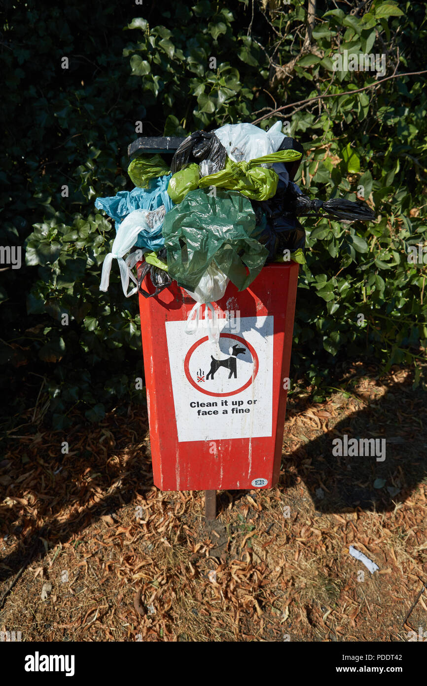 A dog poo bin overflowing with dog poo bags on one of the hottest days