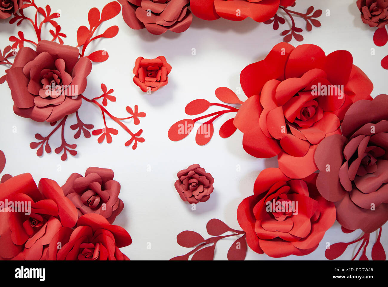Red paper roses on white background Stock Photo - Alamy