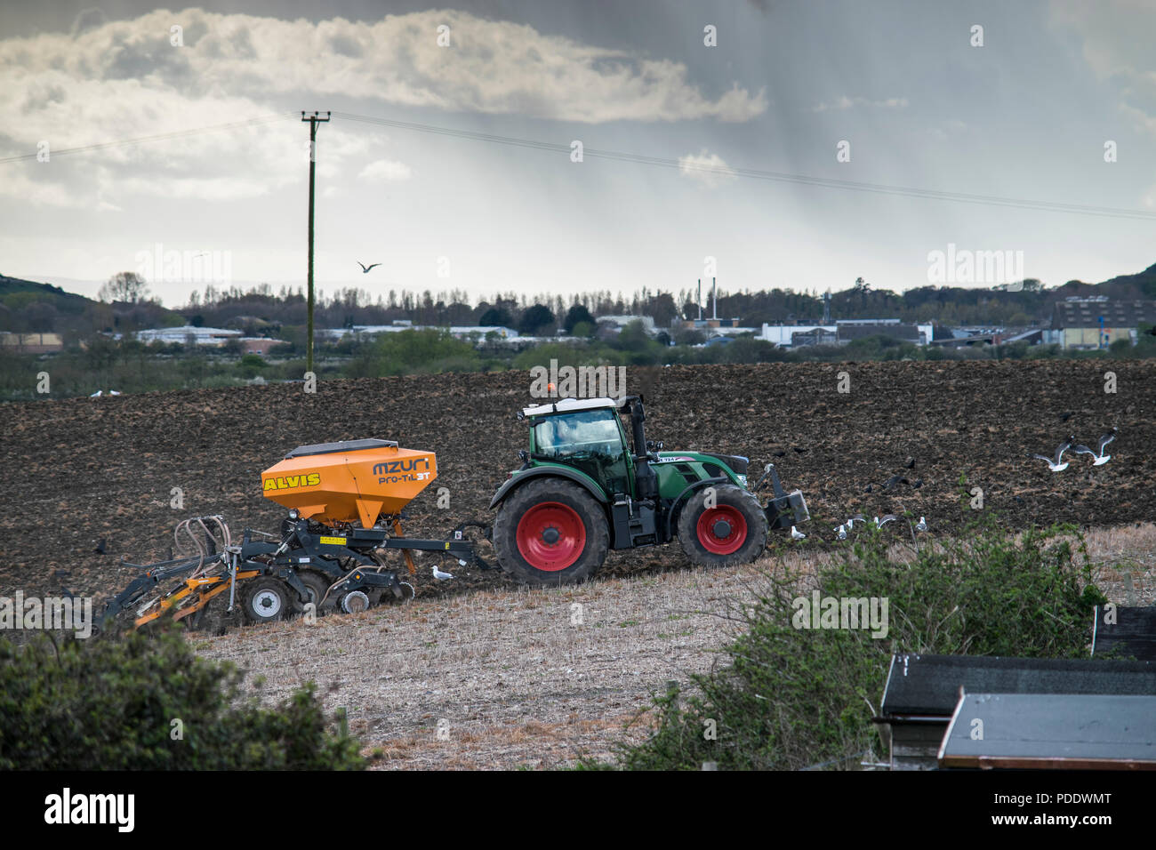 Tractor pulling agricultural machinery across a field with birds feeding in the disturbed soil. Rain is falling in the distance. Stock Photo