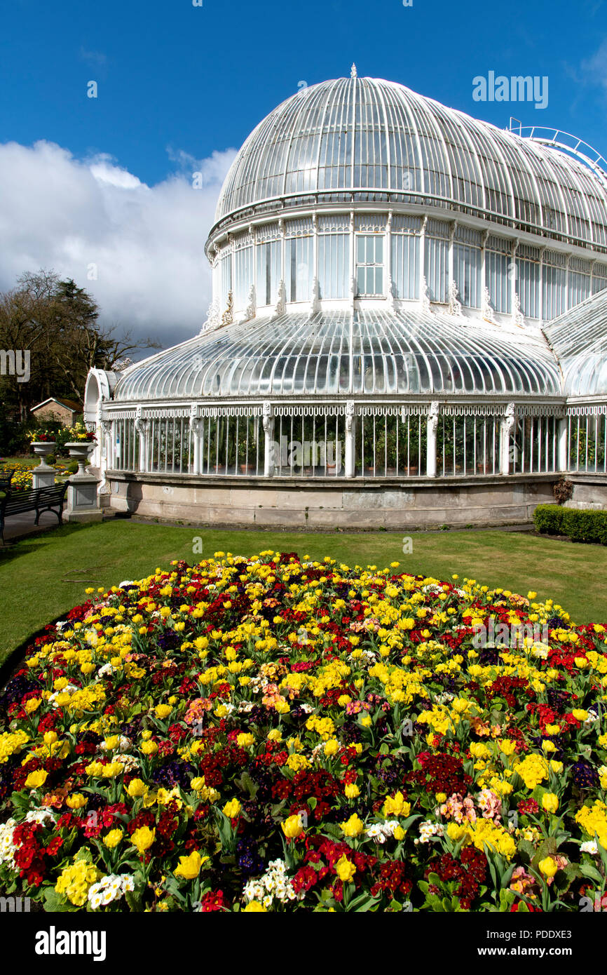 Glass palm house at the Botanic gardens in Belfast Stock Photo - Alamy
