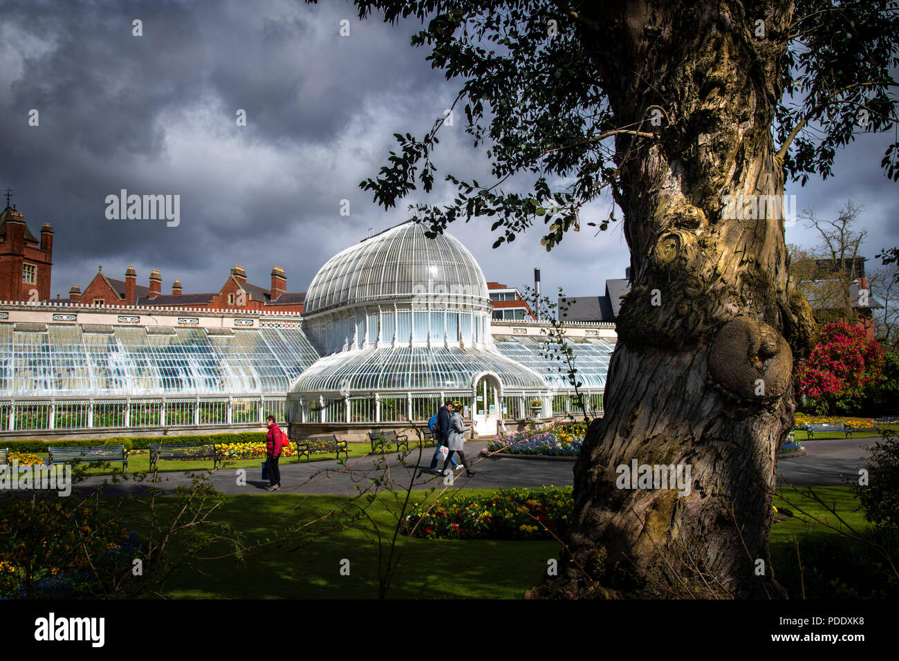 Glass palm house at the Botanic gardens in Belfast Stock Photo
