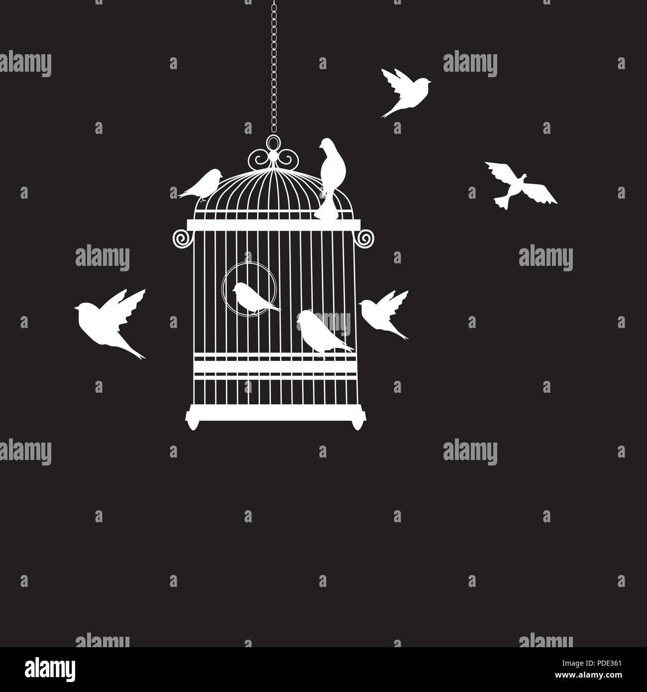 bird cage with birds flying vector illustration Stock Vector