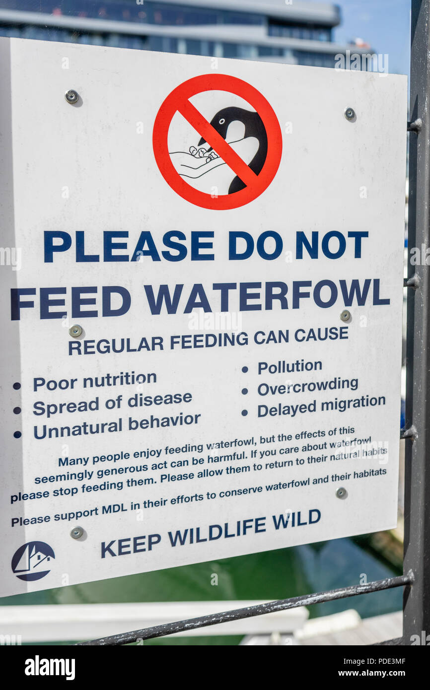 Please do not feed waterfowl sign prohibiting the feeding of waterfowl at Southampton's ocean village waterfront, England, UK Stock Photo