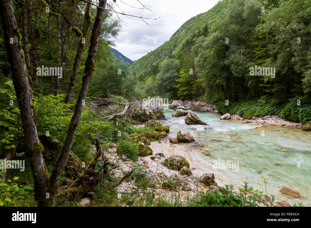 10 beautiful view river hi-res stock photography and images - Alamy
