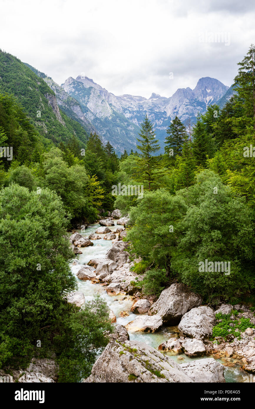 Turquoise river passing through beautiful wilderness Stock Photo