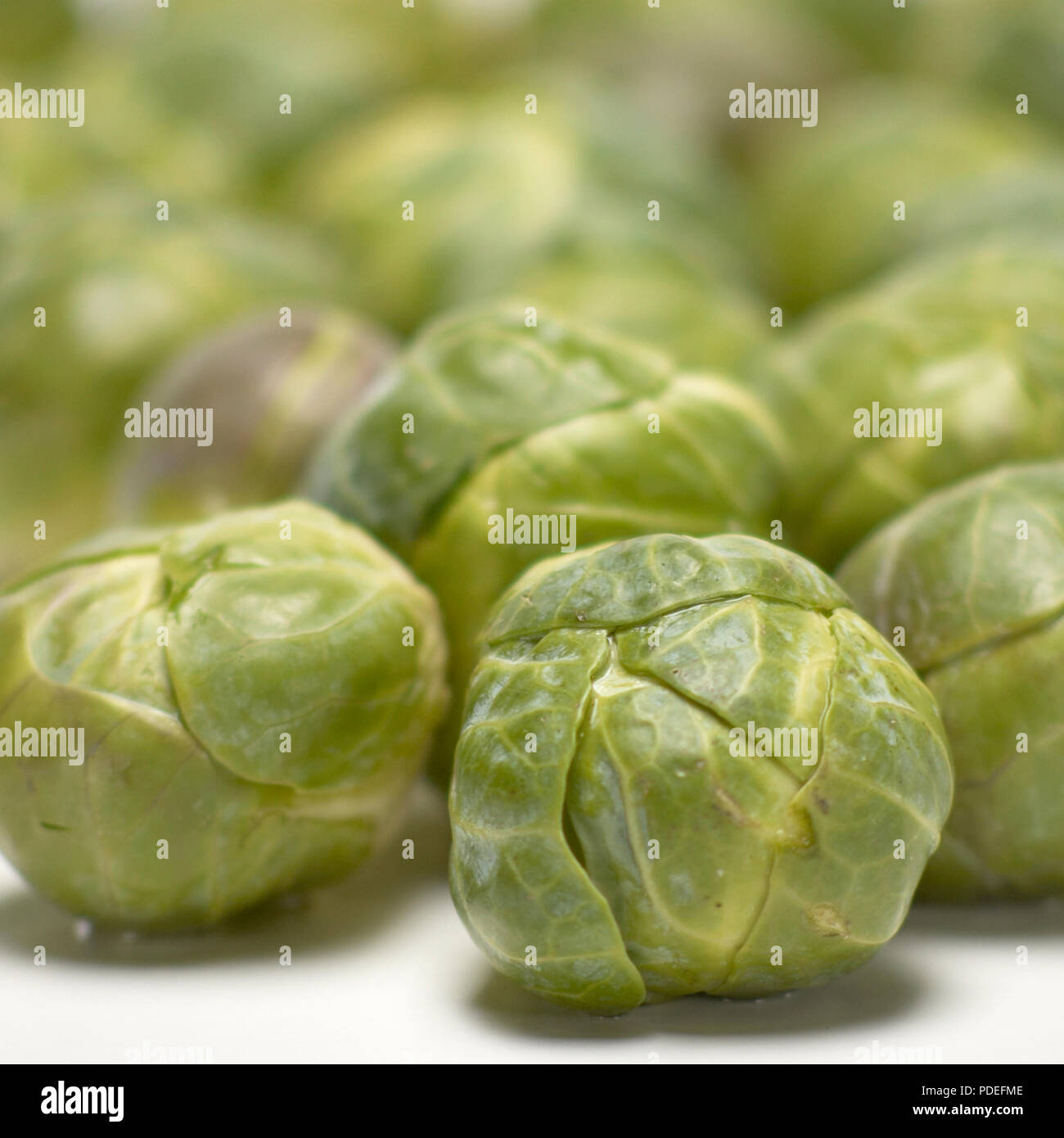 Brussel sprouts. Melbourne, Victoria, Australia Stock Photo Alamy