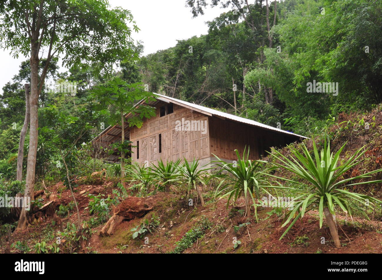 Wooden House, North Thailand, Mountains, Trees, Palms, Evergreen Forest,  Nature, Living in Nature Stock Photo - Alamy